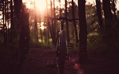 Prepara tus rutas por La Rioja en bicicleta